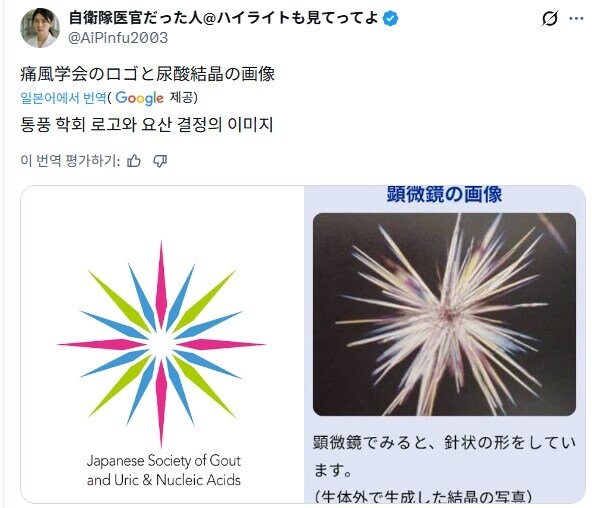 일본 통풍학회 로고_1.jpg