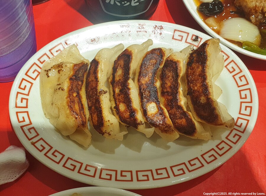 [약스크롤]도쿄에서 일본 중화요리 오사카오쇼 식사_9.png