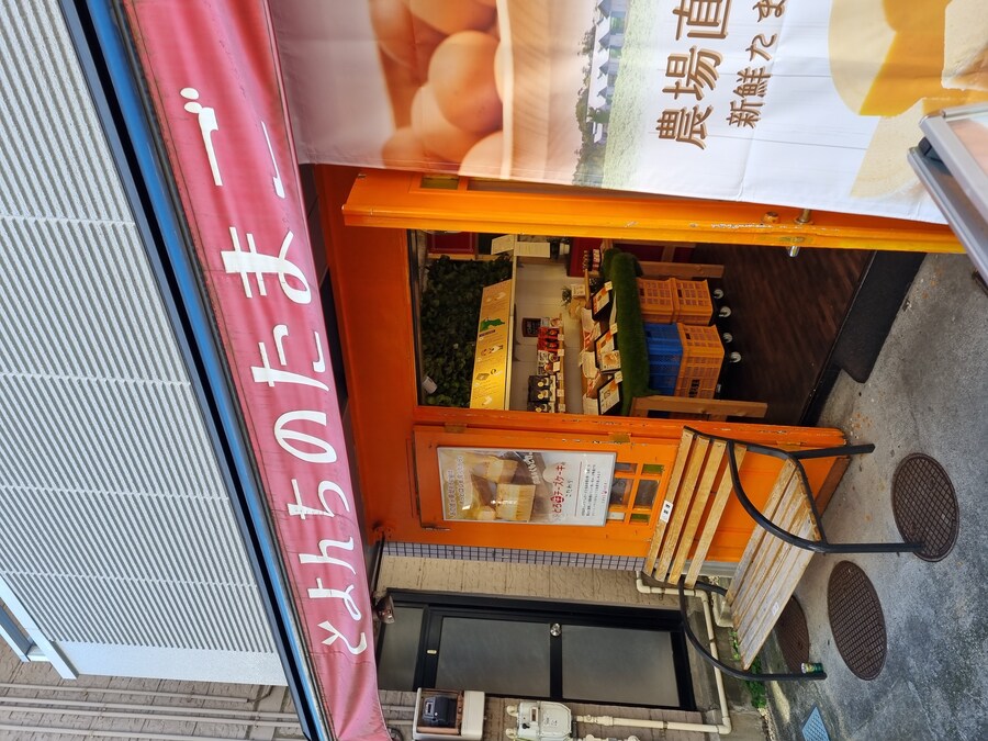 일본 워홀 27일차 시모키타자와 탐방 로지우라 카레 사무라이 & 모스크 커피_27.jpg