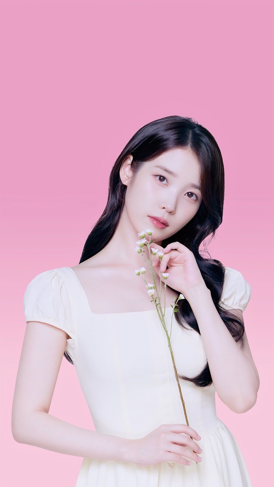 리콜라 새 사진_1.jpg