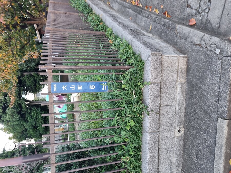 일본 워홀 27일차 시모키타자와 탐방 로지우라 카레 사무라이 & 모스크 커피_60.jpg