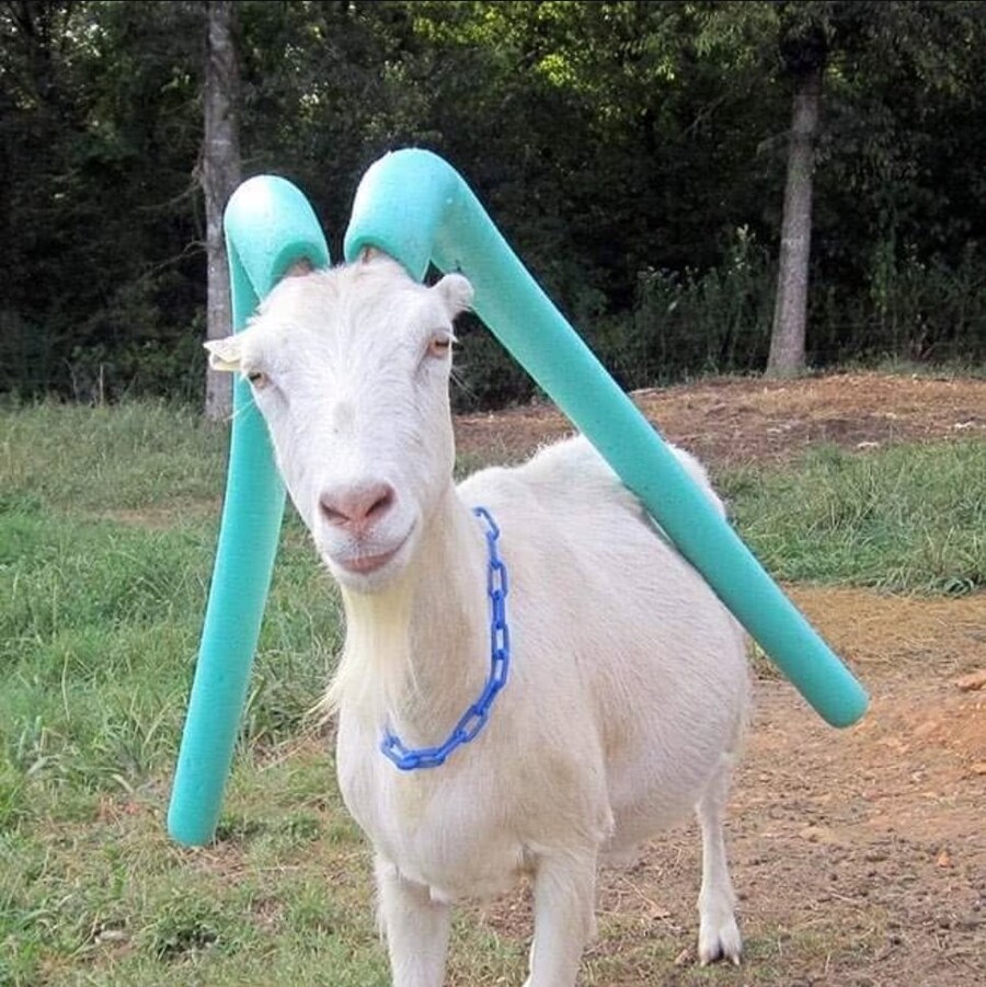 의외로 미쿠가 아닌 것.jpg_1.jpg