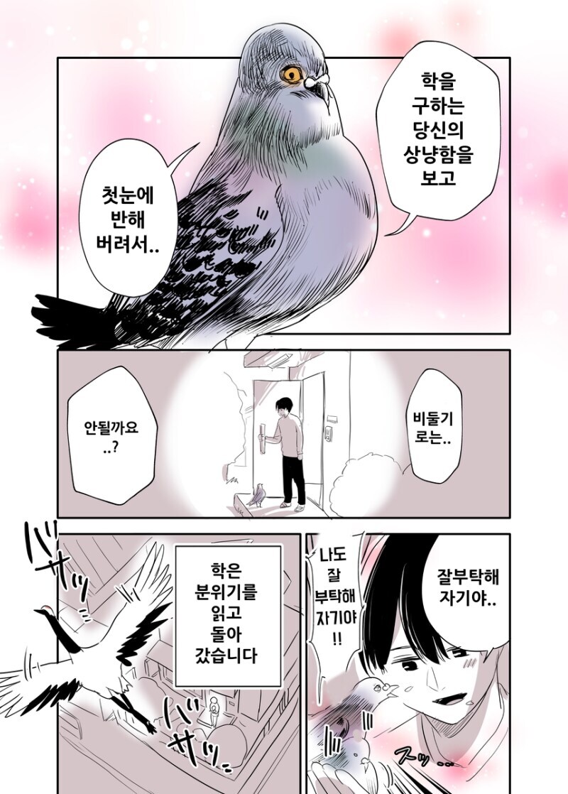 학의 은혜를 갚는.manhwa_4.jpg