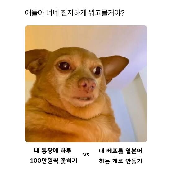 통장에 하루 100만원 꽂히기 vs_1.jpg