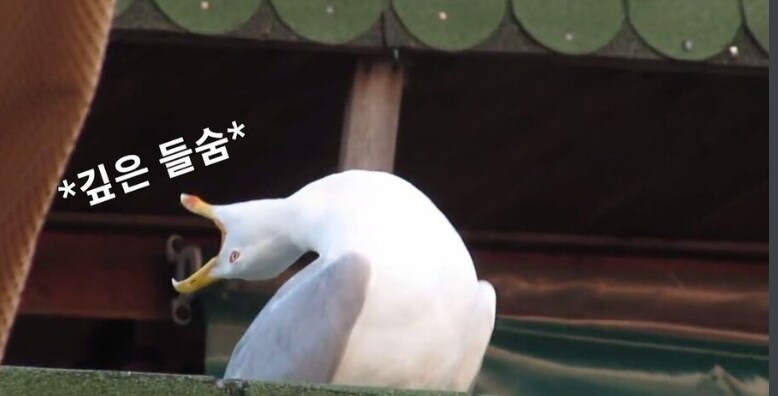 오늘의 효도 썰_1.png