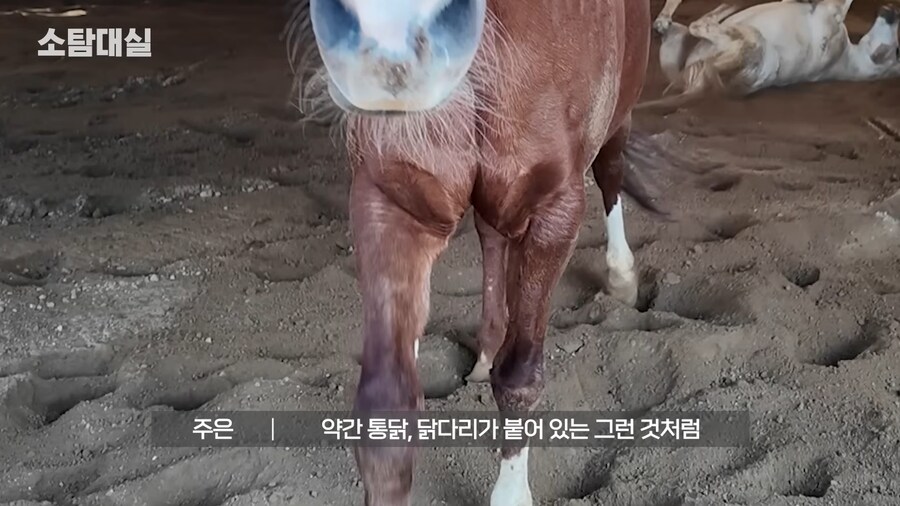 유튜브) 중세 말 정면 그림을 개못그린 이유_50.png