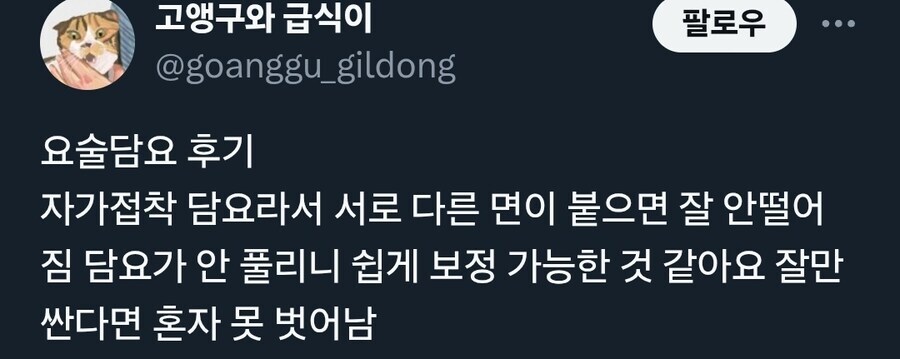 봉인된 고양이.jpg_2.jpg