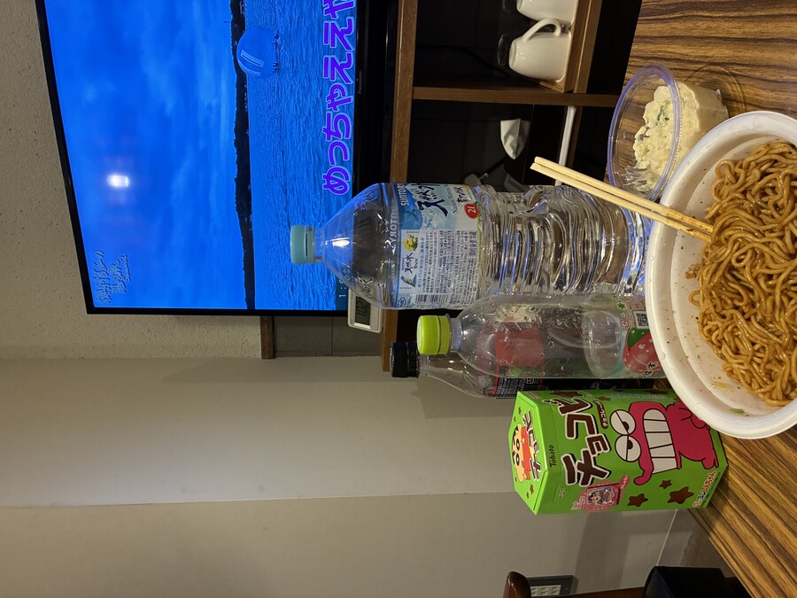 시즈오카->후지산 여행중(1일~2일차 사진많음)_6.jpg