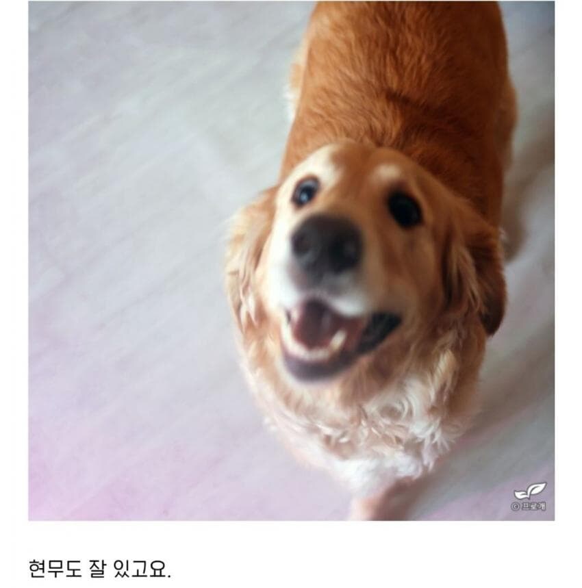 거위도 부화시키는 드루이드_4.jpg