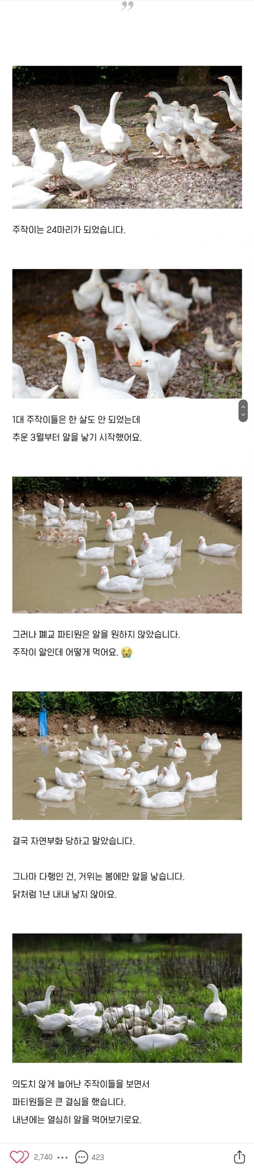 거위도 부화시키는 드루이드_6.jpg