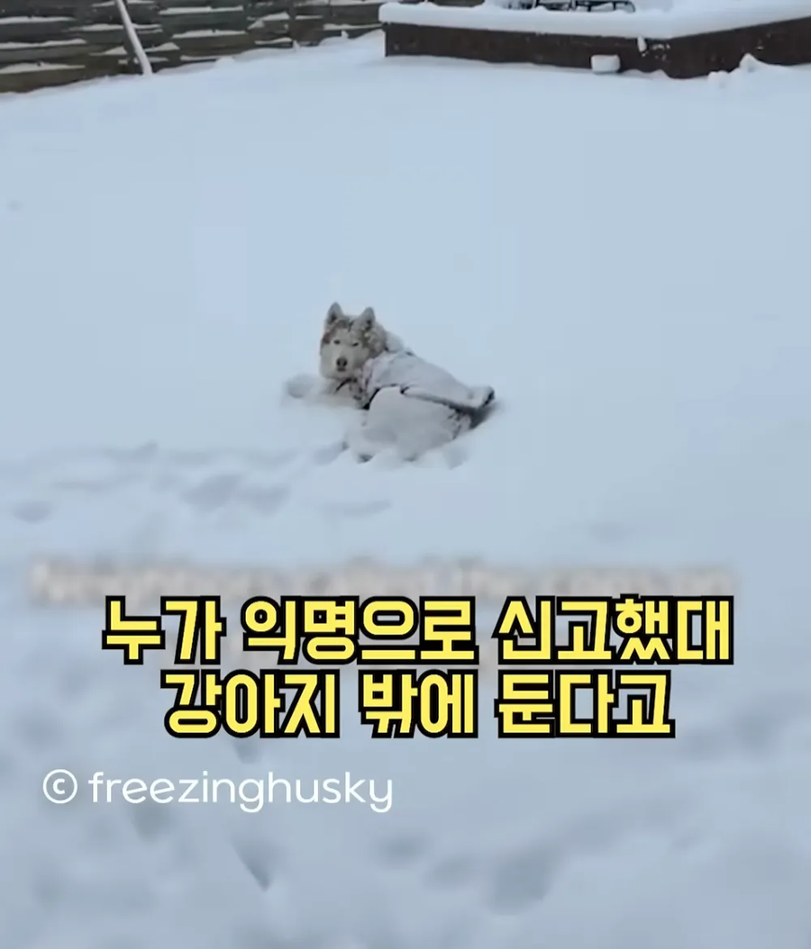 주인 학대_2.webp