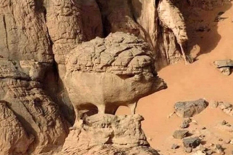 사하라 사막에 있는 고슴도치 바위.jpg_4.jpg