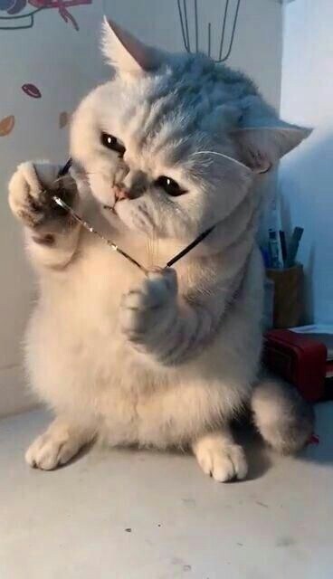 ???: 감히 내 글로 베글을 가다니_4.jpg