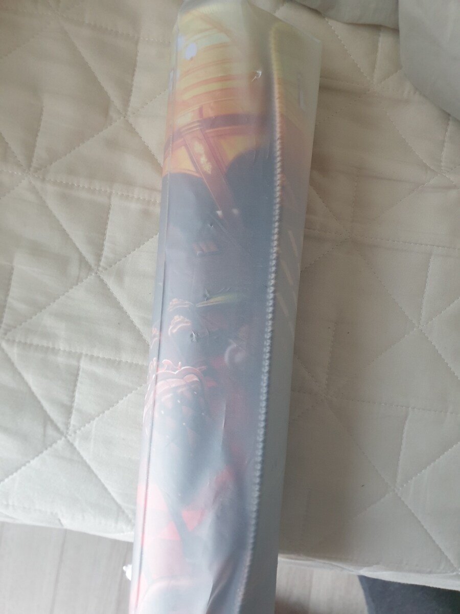 AGF 2025 라오부스 후기(겸 기타등등)_1.jpg