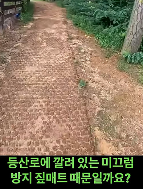 한국 여행온 유튜버가 가장 좋았다 평가하는거_7.jpg