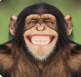 생각해보면 주인공이 개1새끼인 작가 납치감금 스릴러_23.png