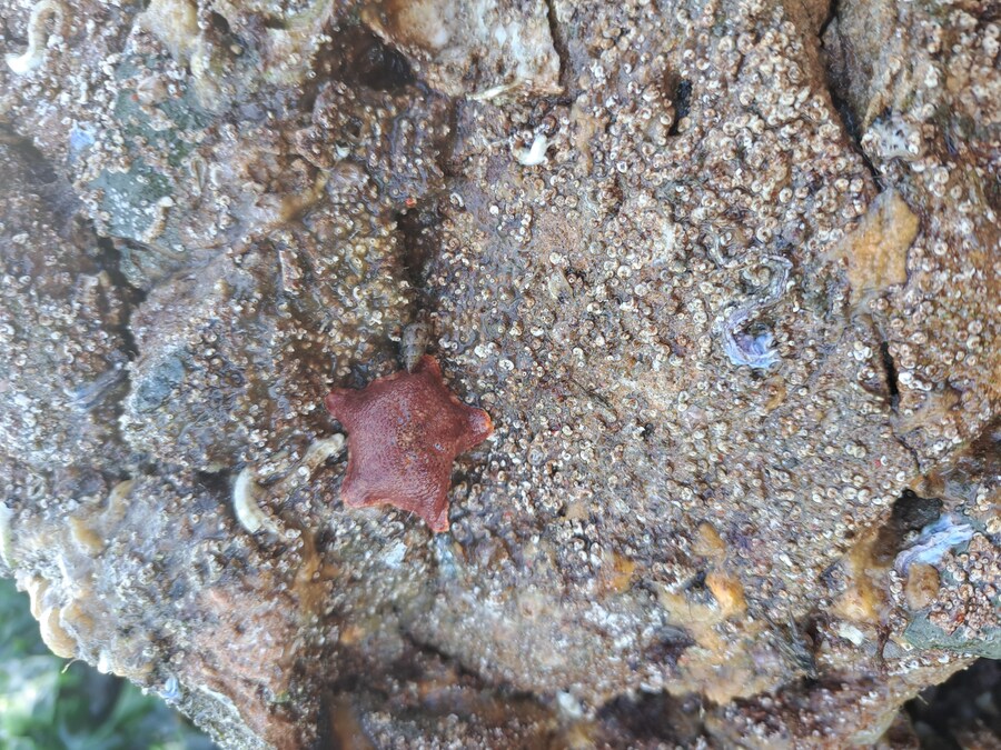 별 내린 해변_2.jpg