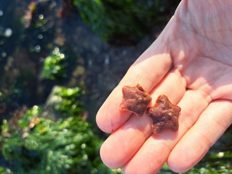 별 내린 해변_9.jpg