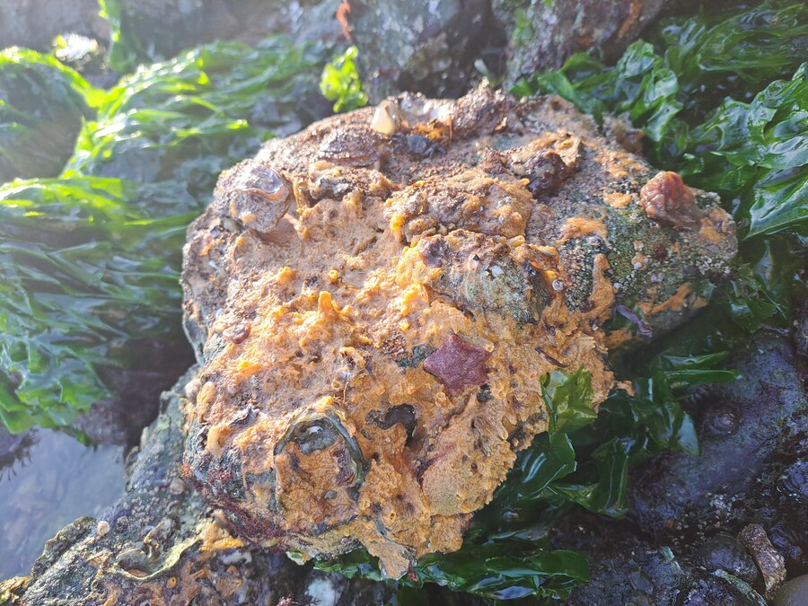 별 내린 해변_6.jpg