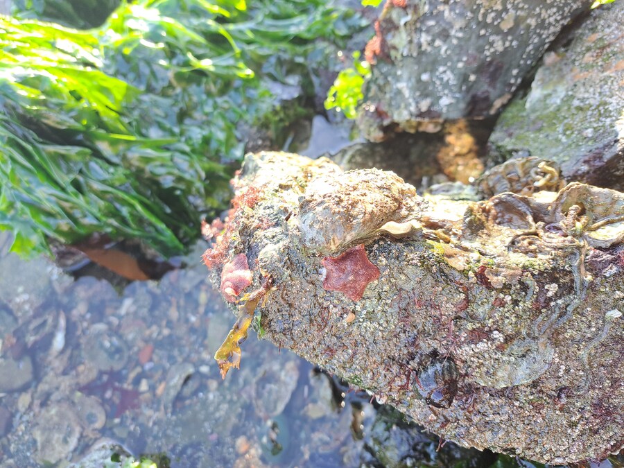 별 내린 해변_8.jpg