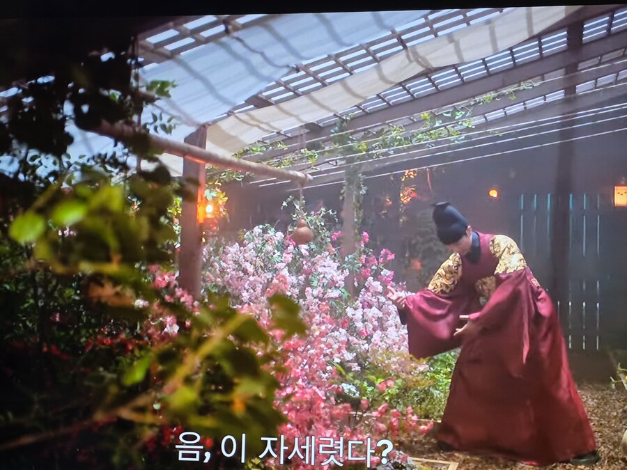 드라마) 폭군의셰프 눈이 즐겁다_1.jpg