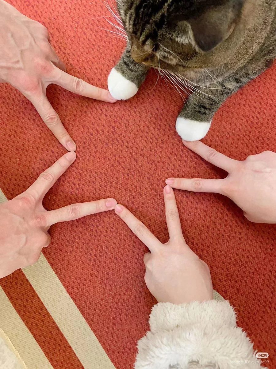 별난 고양이_1.webp