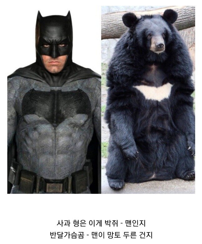 역대 배트맨들의 키 & 몸무게 비교 그래프.jp_2.jpg