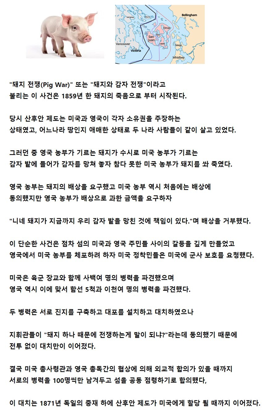돼지 한 마리로 벌어진 전쟁_1.png