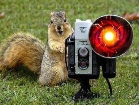 민족 영화 아리랑에 대한 사실.movie_8.jpg