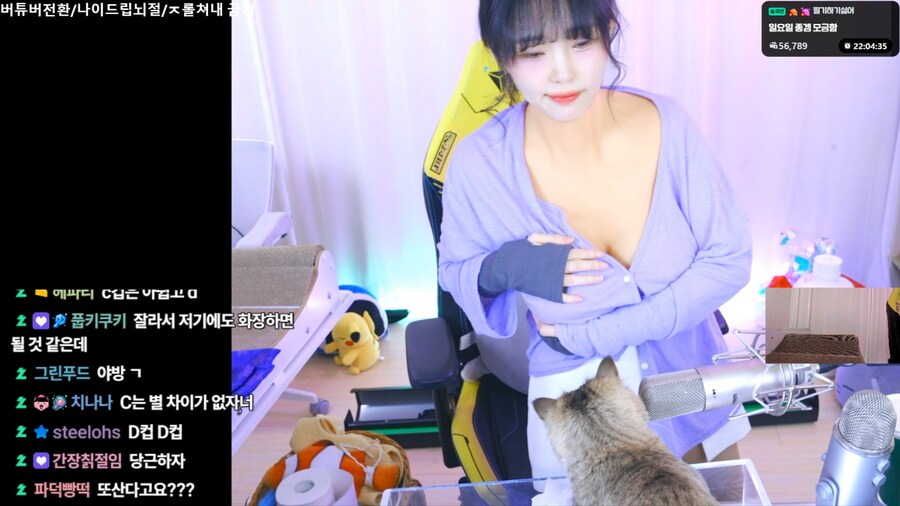 인방) 가짜가슴 착용해보는 새봄추_3.png