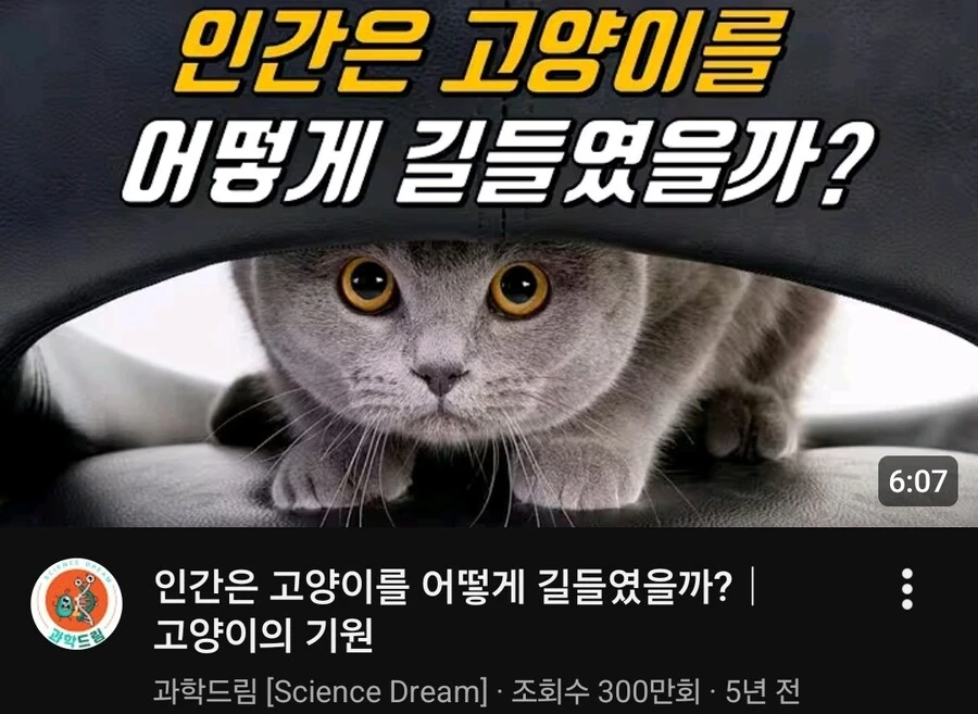 펙트가 잘못된 과학 유튜버.jpg_1.webp