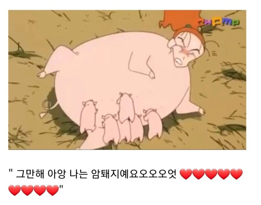 싱가포르랑 홍콩도 하는 가축동화 왜 우린 못하는지 알려줌_1.jpg