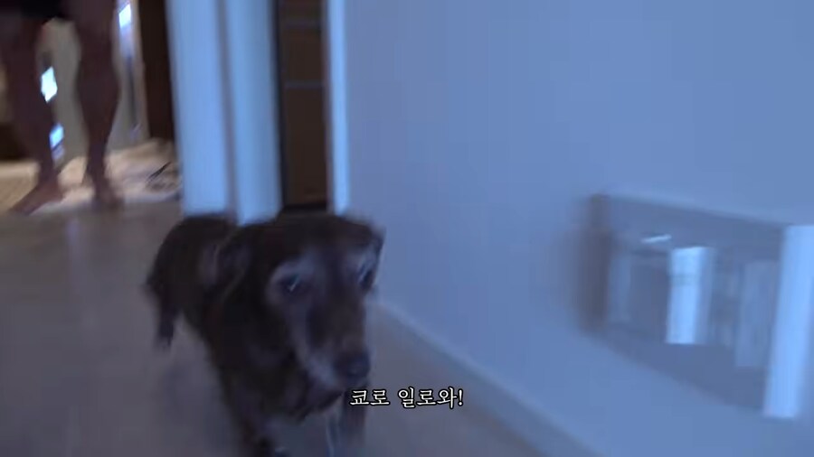 추성훈 : 이게 조회수가 나온다고?_5.png