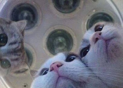 우주인을 만난 여자애가 정체불명의 어플을 받고 왔다.manga_1.jpg