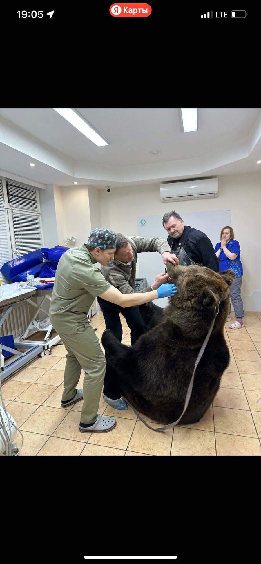 치과에 간 좀큰 동네주민_3.jpg