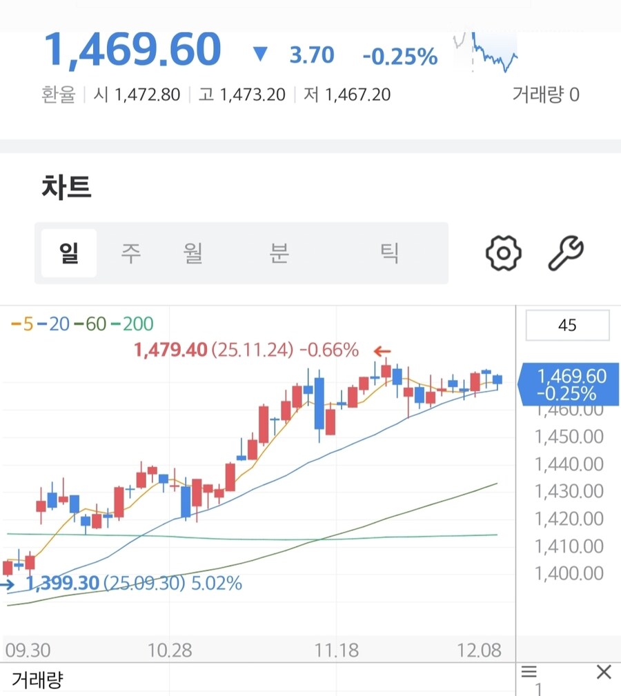 국장옵션 만기일