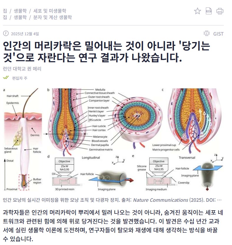 이번에 새로 연구된 탈모 관련 밝혀지지 않은 비밀_1.png