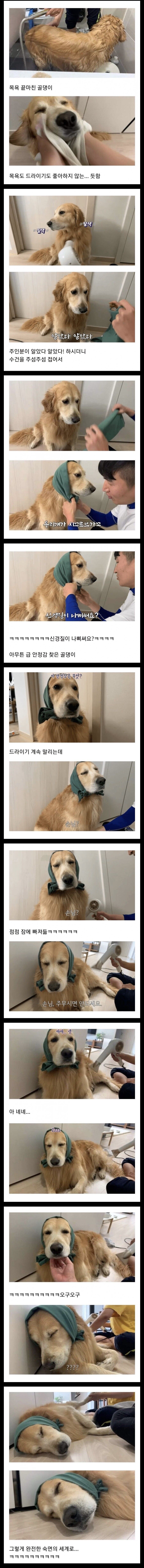 골댕이 건조시키는 방법_1.jpg