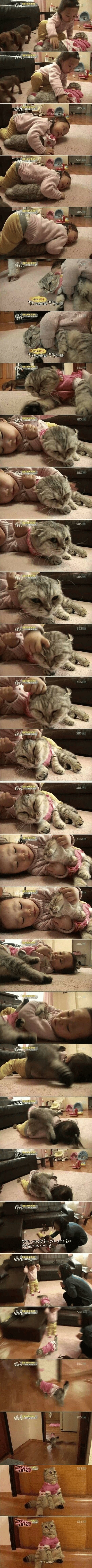 22개월 아기에게 학대당하는 고양이..._1.jpg