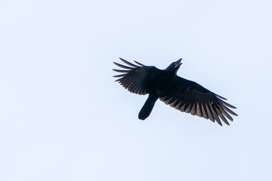 7월 폭우가 내린뒤 창릉천_8.jpg