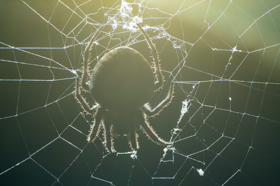 7월 폭우가 내린뒤 창릉천_10.jpg