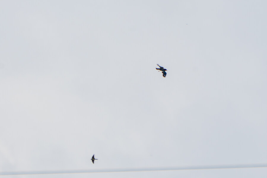 7월 폭우가 내린뒤 창릉천_12.jpg