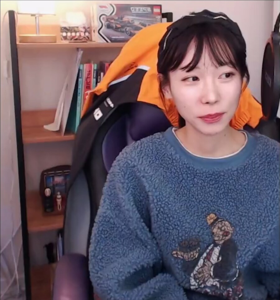 경계선 논란에 입을 연 신용점수 150점 스트리머.jpg_4.jpg