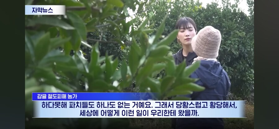 제주도 근황.jpg_5.jpg