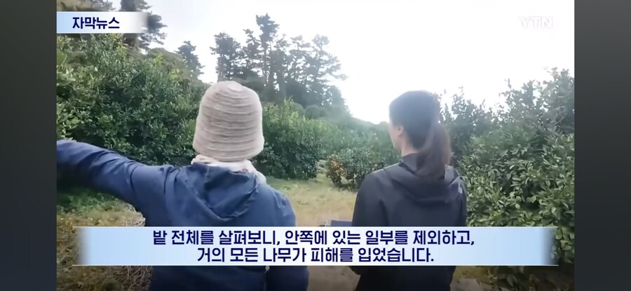 제주도 근황.jpg_6.jpg