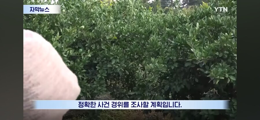 제주도 근황.jpg_14.jpg