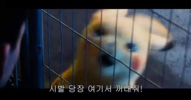 마비m)헤일로랑 1차 전압 스타킹 잘 팔림?_1.jpg