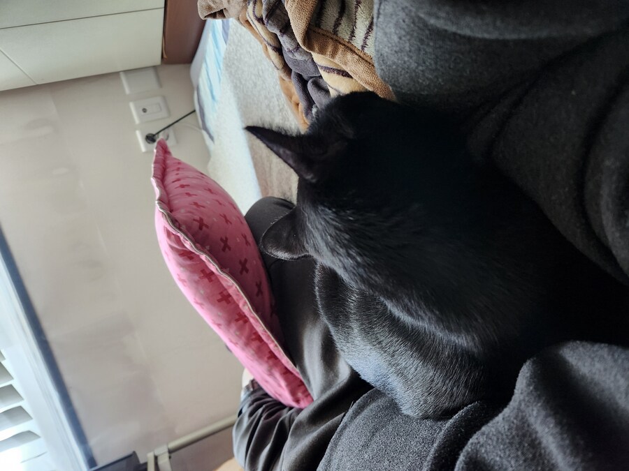 인기없는 검은 고양이는..._16.jpg