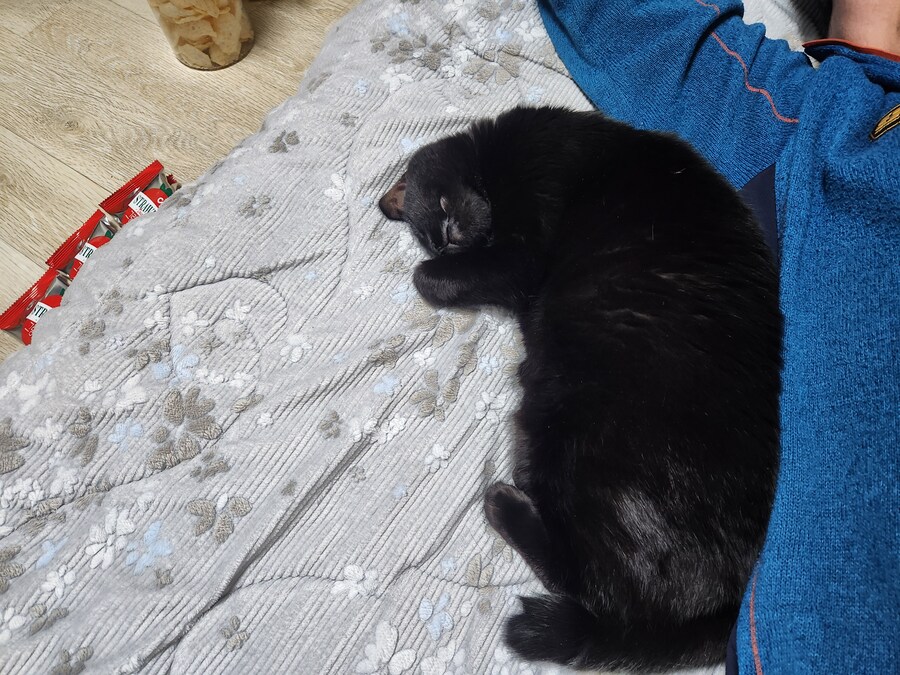 인기없는 검은 고양이는..._18.jpg