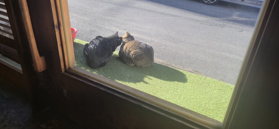 진상들아 좀 가라고...._1.jpg